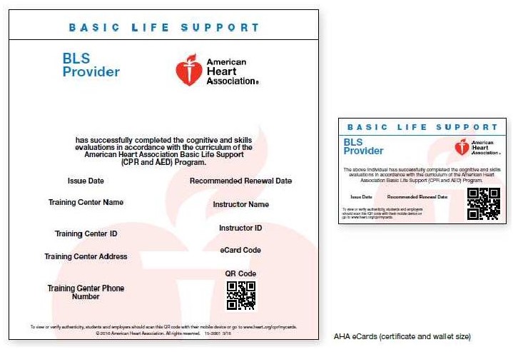 basic-life-support-bls-course-completion-ecard-ubicaciondepersonas